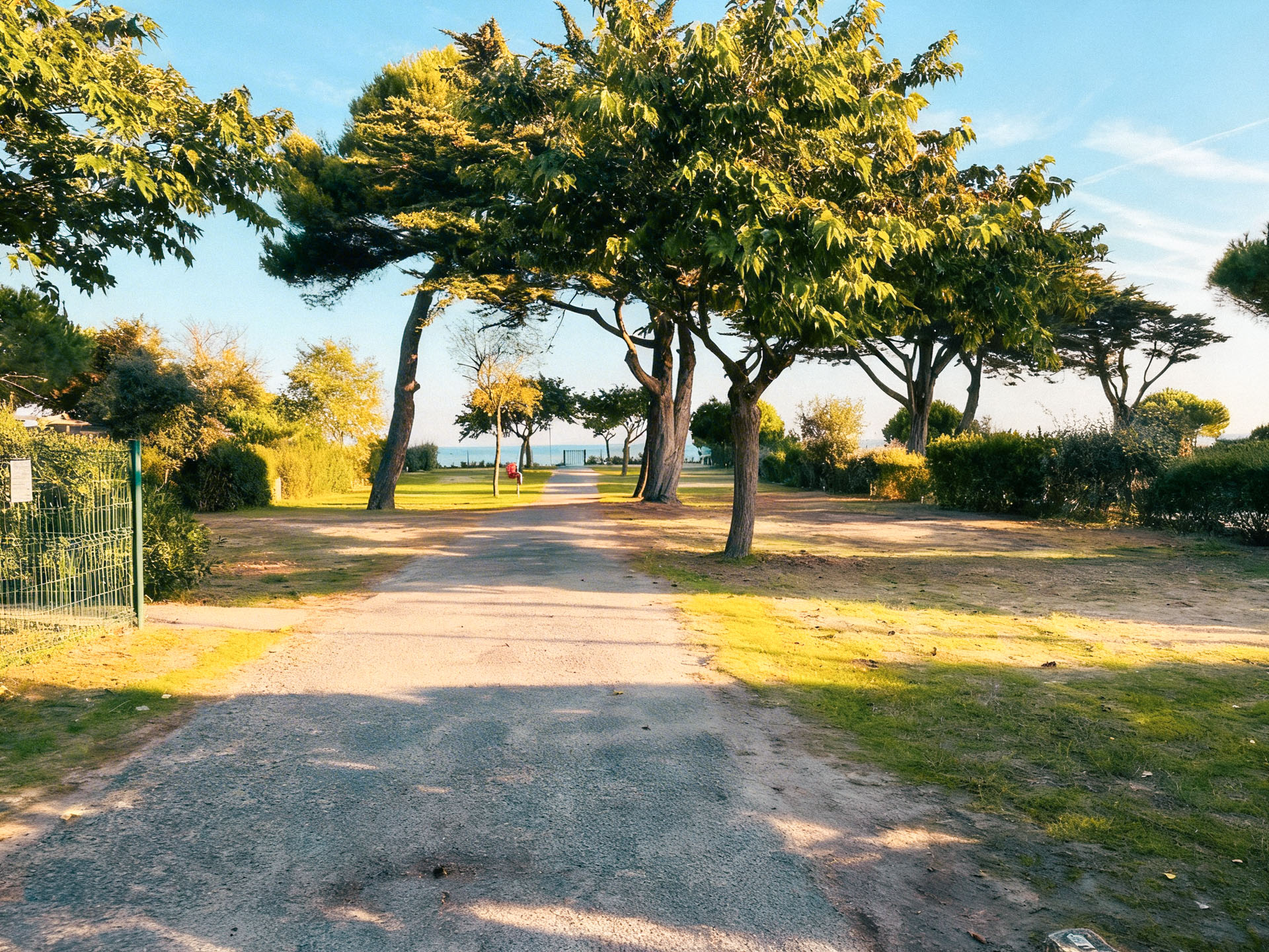 camping pitch platin redoute île de ré