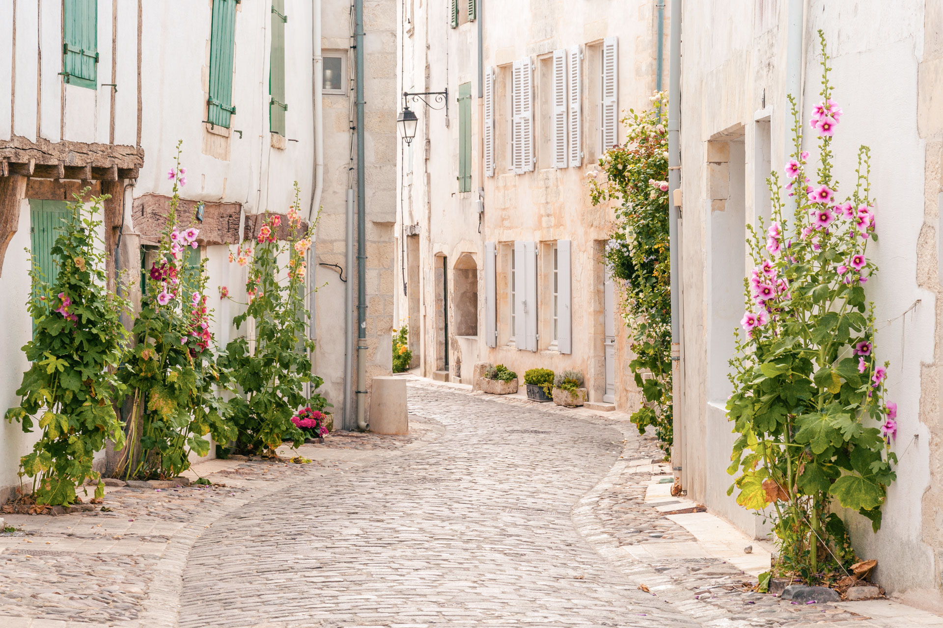 île de ré ville camping platin redoute