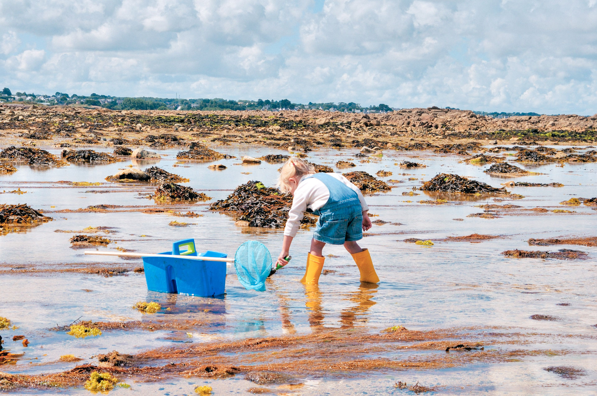 pêche à pied île de ré bretagne